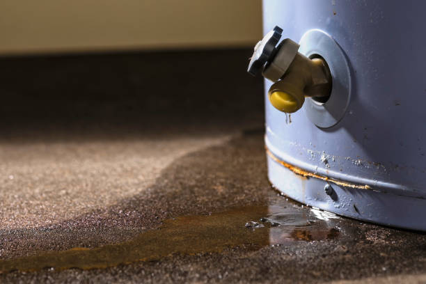 Best Local water damage restoration  in North Lewisburg, OH