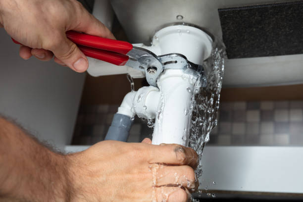 Best Basement water damage restoration  in North Lewisburg, OH