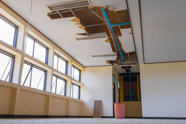 Best Carpet water damage restoration  in North Lewisburg, OH