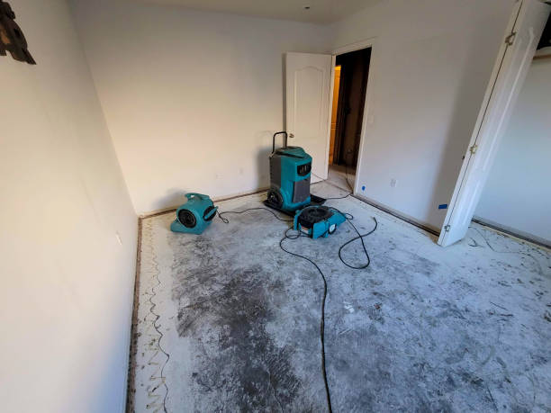 Best Residential water damage restoration  in North Lewisburg, OH