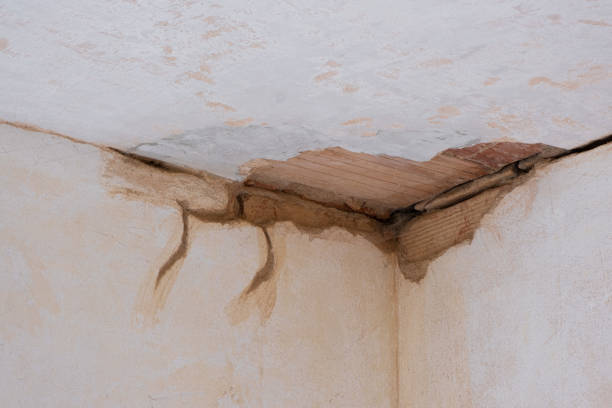 Best Commercial water damage restoration  in North Lewisburg, OH