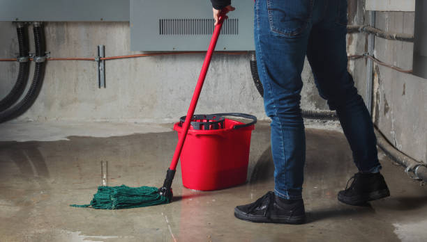 Best Flood restoration services  in North Lewisburg, OH