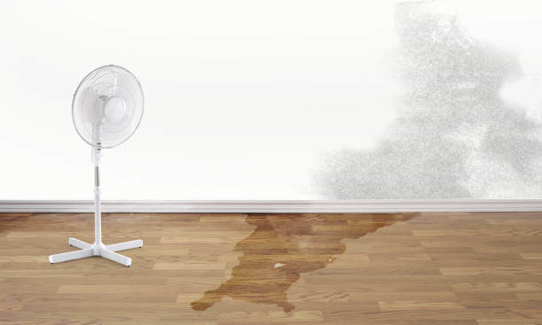 Professional Water damage restoration in North Lewisburg, OH
