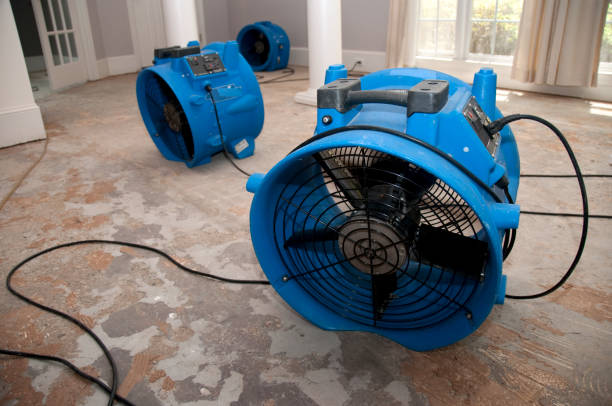Best Local water damage restoration  in North Lewisburg, OH
