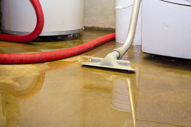 Best Flooded house restoration  in North Lewisburg, OH