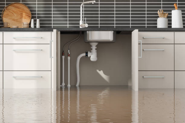 Best Water damage cleanup near me  in North Lewisburg, OH